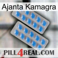 Ajanta Kamagra 23